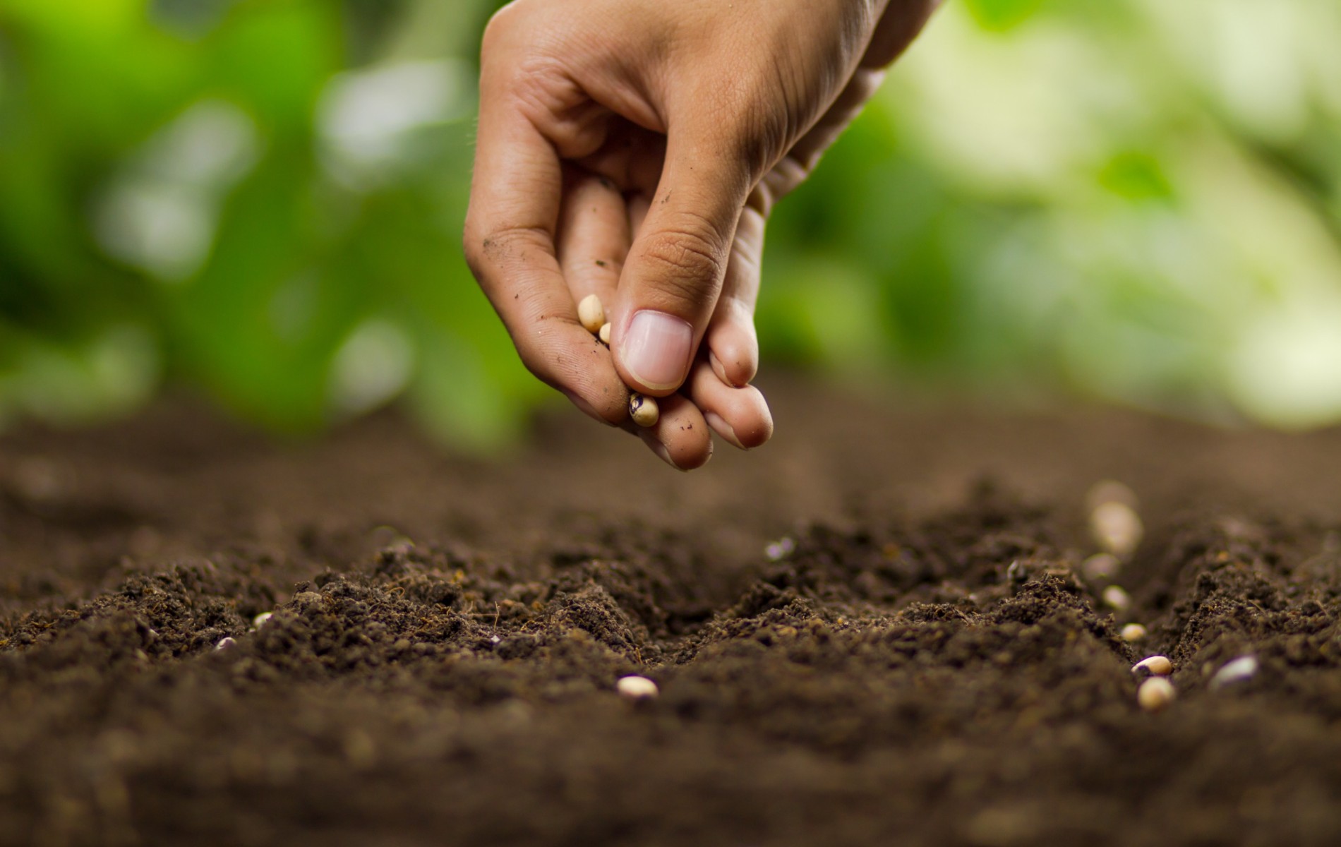 Blog ZZP er zaadjes planten